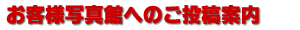 ���q�l�ʐ^�قւ̂����e�ē�