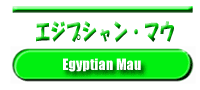 �G�W�v�V�����E�}�E