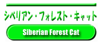 �V�x���A���E�t�H���X�g�E�L���b�g