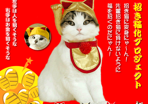 �J�^�������^�����L�Z�b�g