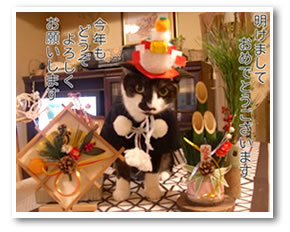 マルコ君