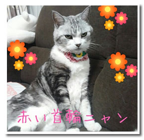 チィ君