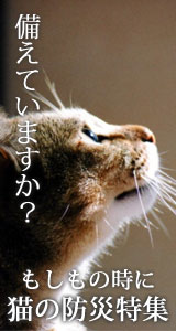 �������̎���