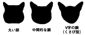 ̌`