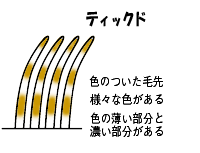 ティックド