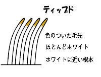 ディップド