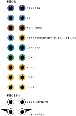目の色パターン