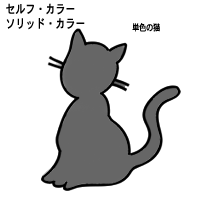 ソリッドカラー