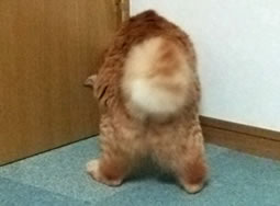 ͂Ȃ