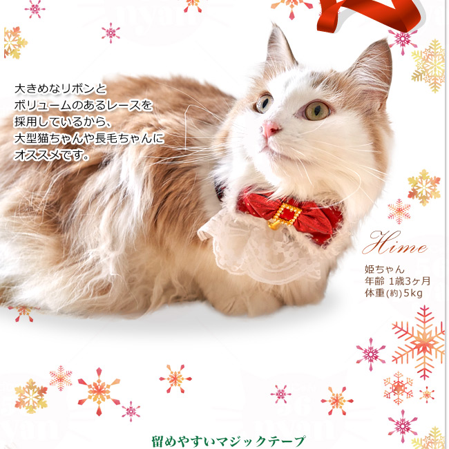 傫߂ȃ{ƃ{[̂郌[XA傫ߔLⒷтɃIXXB