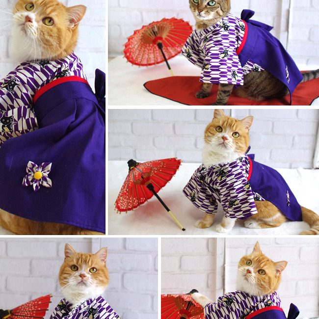 ゴロにゃんオリジナル 猫用着物 女袴 大正ロマンはいからにゃん コスプレ パーティー猫服 猫専門店ゴロにゃん 公式通販サイト 猫の首輪 猫 用品 フード ゴロにゃんオリジナル 猫用着物 女袴 大正ロマンはいからにゃん コスプレ パーティー猫服 猫専門店ゴロにゃん 公式通販サイト 猫の首輪 猫 用品 フード