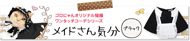 ̃ChC