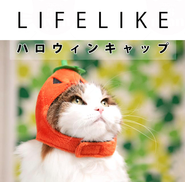 LIFELIKE nEBLbv
