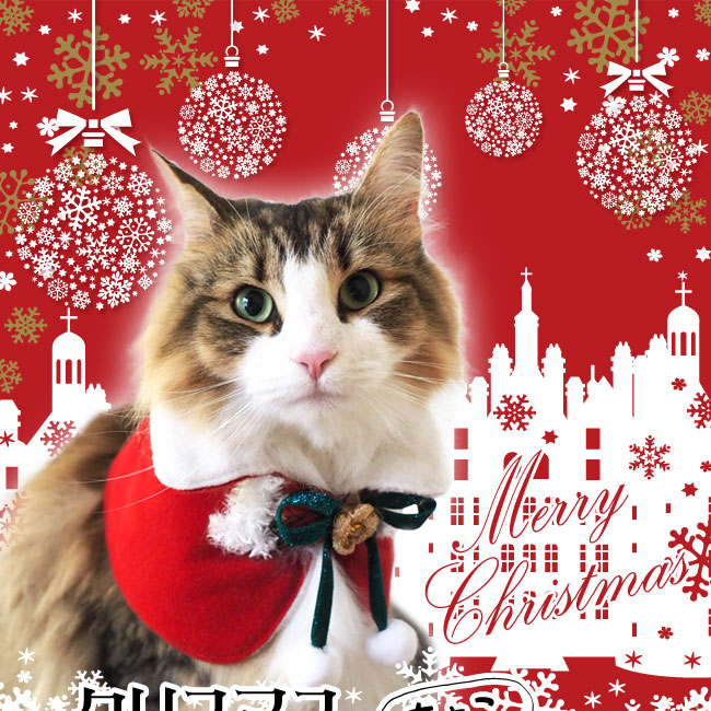 ゴロにゃんオリジナル クリスマス レジェンド ちょこマント 猫用コスプレ コスプレ パーティー猫服 猫専門店ゴロにゃん 公式通販サイト 猫 の首輪 猫用品 フード