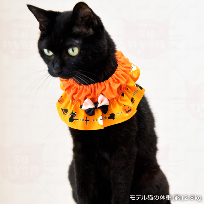 ゴロにゃんオリジナル猫用首輪 ハロウィンシュシュフリル ( 猫 服 