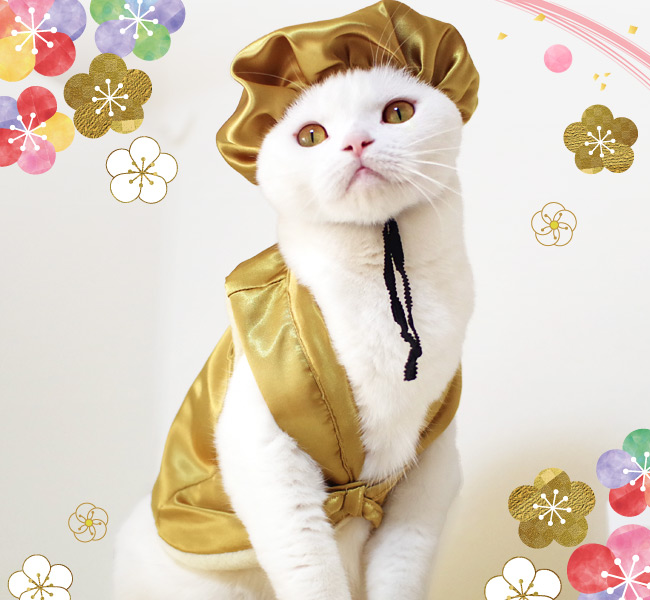 �S���ɂ��I���W�i�� �L�� ���ؒ������Z�b�g