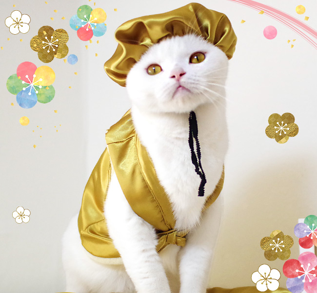 �S���ɂ��I���W�i�� �L�� ���ؒ������Z�b�g