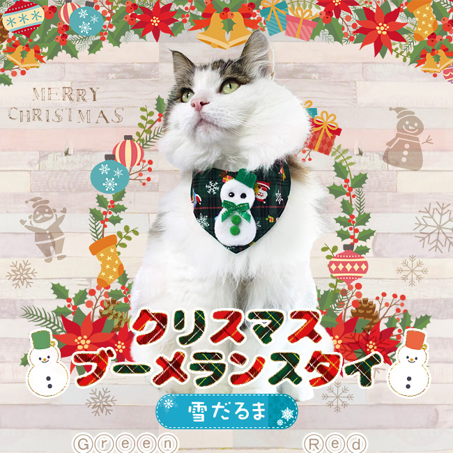 SɂIWi NX}Xu[X^C Ⴞ