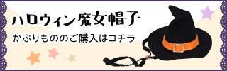 Ԃ̂̂w̓R`