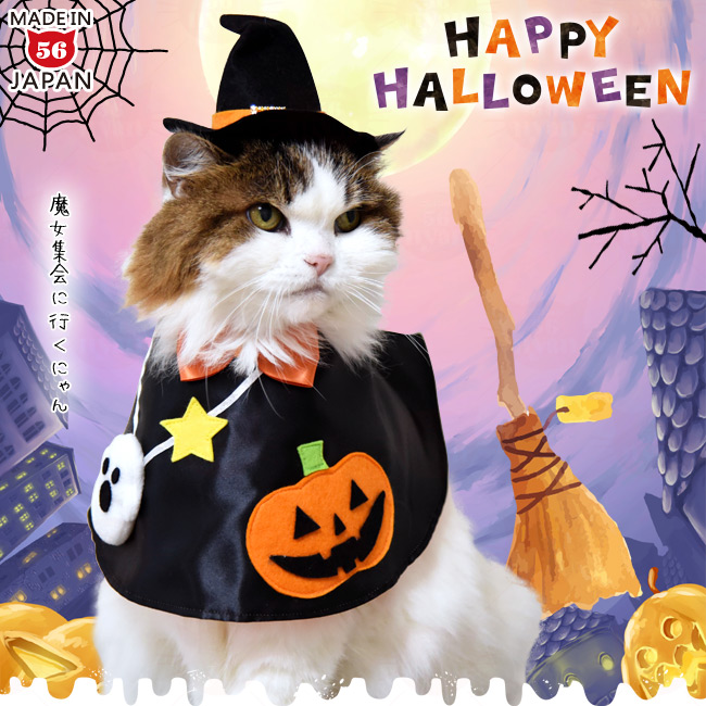 ゴロにゃんオリジナル猫のかぶりもの ハロウィン魔女帽子 313 猫 服 猫専門店ゴロにゃん 公式通販サイト 猫の首輪 猫用品 フード