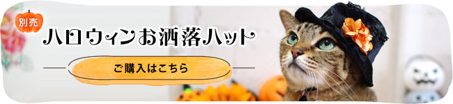 SɂIWi 蕨 nEBnbg