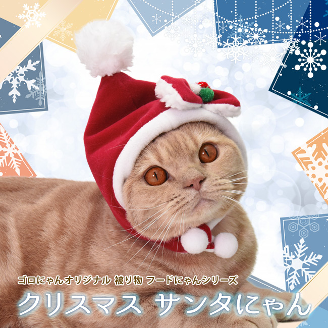 SɂIWi蕨 t[hɂ NX}X T^ɂ