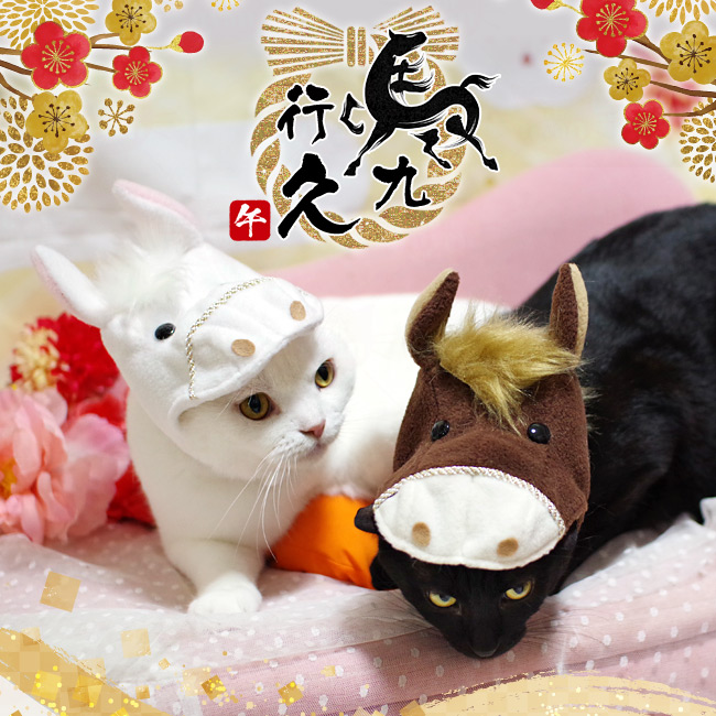 SɂIWi L̔蕨 xV[Y ߂̂Ԃ n