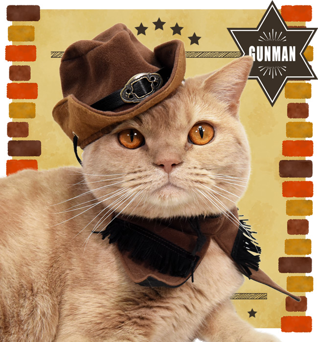 JE{[C3_Zbg Xq X^C XJ[t SɂIWi L