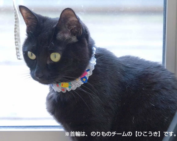 by傱tL ̃`[B