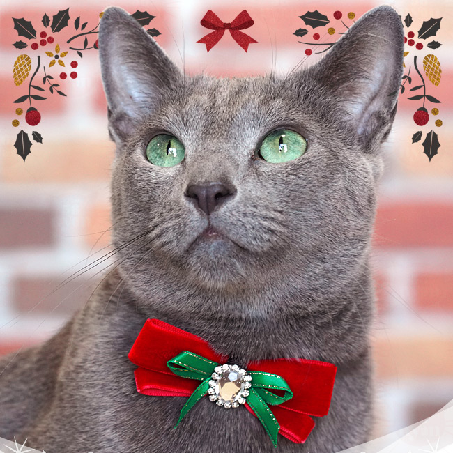 NX}X؃xxbgL NX^rW[