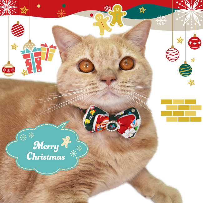 SɂIWiL NX}Xo[Vuɂ񃊃{