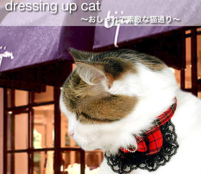SɂIWi 傱L (S[WX^[^`FbN) 