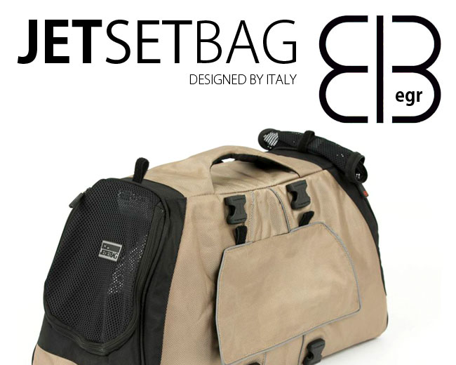 yzEGR JET SET BAG