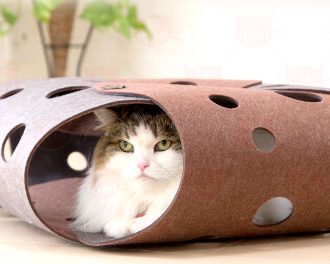 OPPO FabCat tunnel