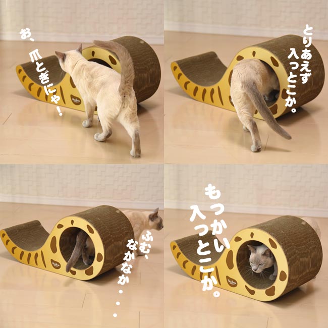 ybc[g ɂ񂱂̂ ܂Ƃ X S[h