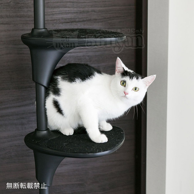 OPPO CatForest キャットフォレスト ブラック バケットシェルフ付き 