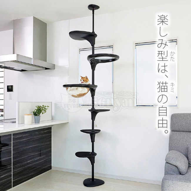 OPPO CatForest option LbgtHXg IvV