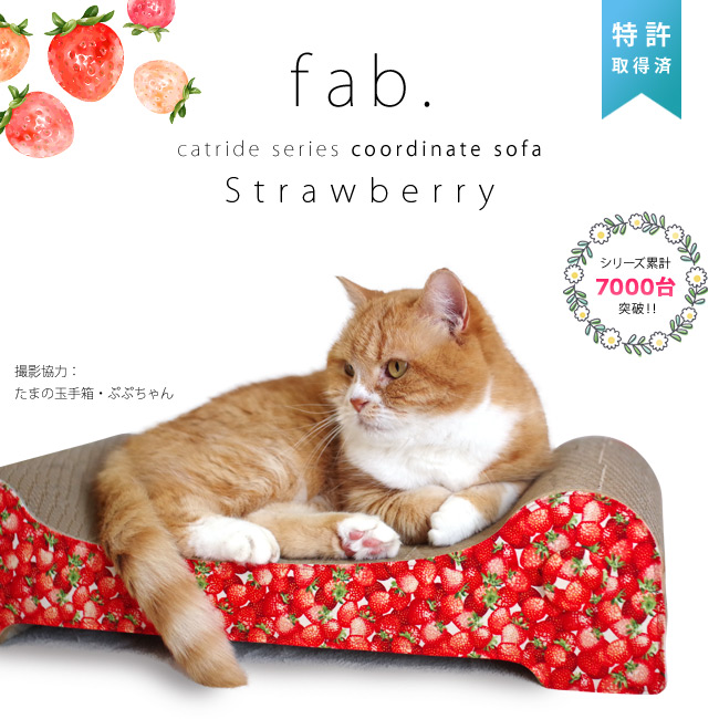 �S���ɂ��I���W�i���߂Ƃ� �L���b�g���C�h�V���[�Y �R�[�f�B�l�C�g�\�t�@ fab. ��������
