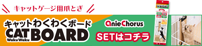 킭킭{[hSET͂