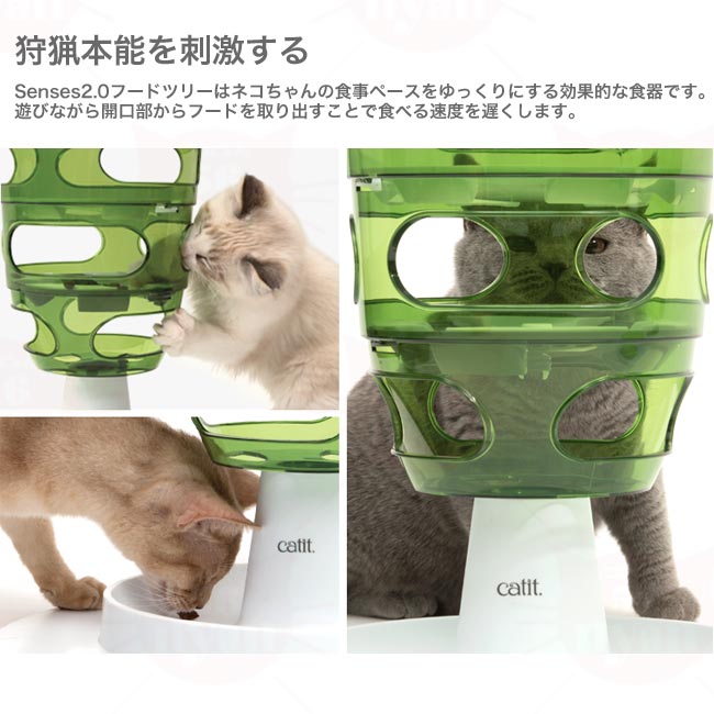 GEX Catit Senses2.0 t[hc[@̖H