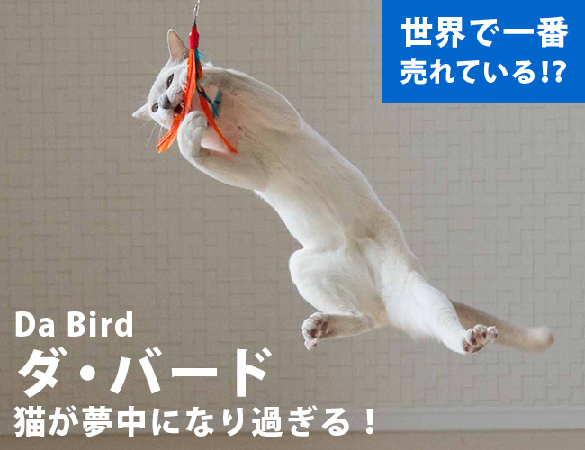 �L�������ɂȂ肷���邨������ �_�E�o�[�h