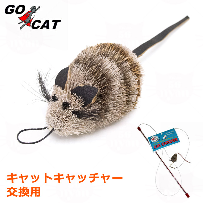 Cat Catcher@LbgLb`[ p