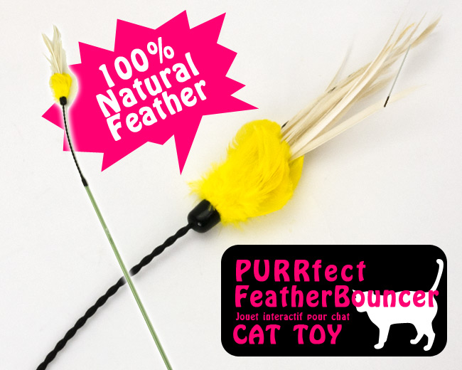 PURRFECT FEATHER BOUNCER CAT TOY