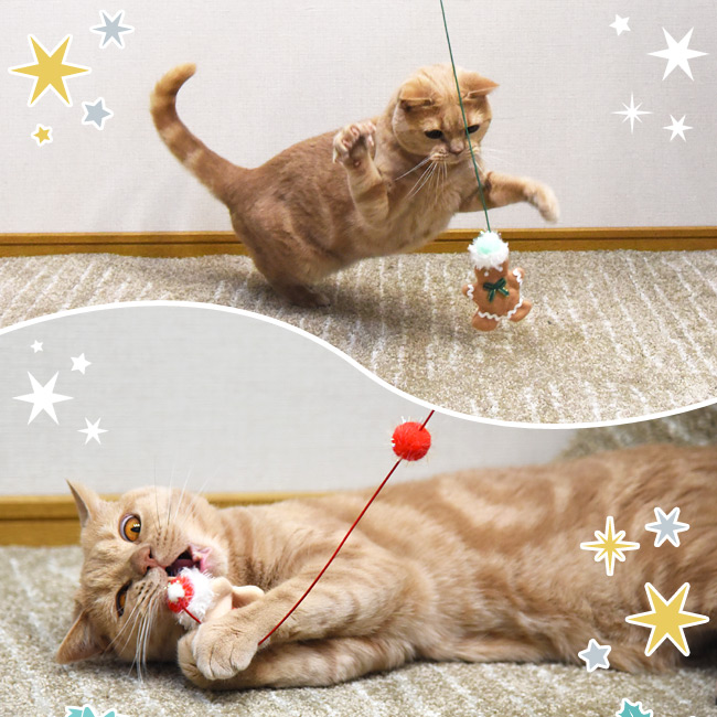 SɂIWi Ƃтɂ񂶂炵 WW[}NbL[