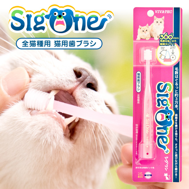 ピンクの猫さん専用 超大幅値下げ‼️i-TEC 電動歯ブラシ替えブラシ 5本セット 50047_top1.jpg