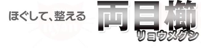 n`RE ڋ ybgpg~OR[