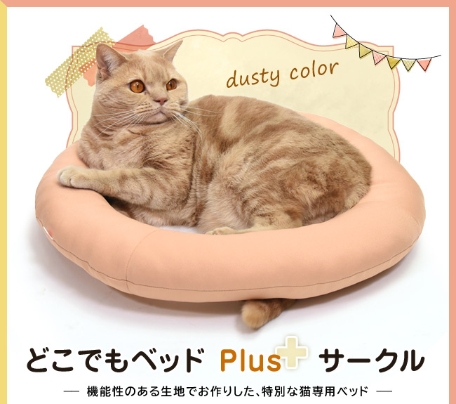 �S���ɂ��I���W�i�� �ǂ��ł��x�b�h �v���X �T�[�N�� �����݃J���[