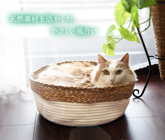 [v NbVtoXPbg ςybgpxbh