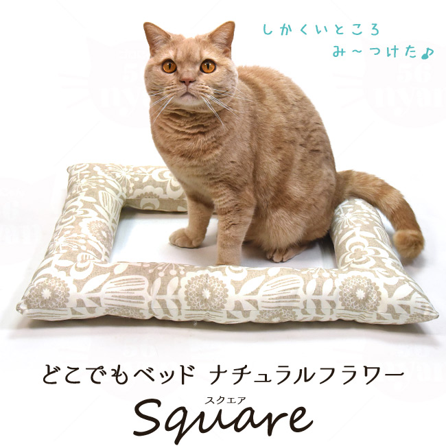 �S���ɂ��I���W�i�� �ǂ��ł��x�b�h �X�N�G�A �i�`�������t�����[