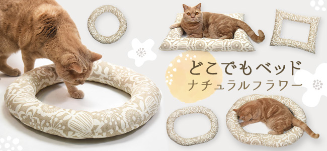 �ǂ��ł��x�b�h �i�`�������t�����[